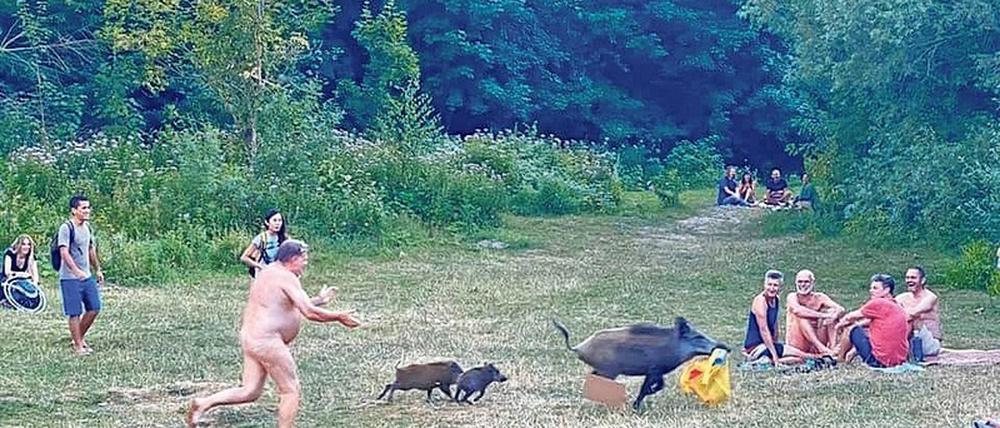 Ein Foto, das um die Welt ging: Der FKK-Bader jagt die Sau am Teufelssee