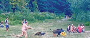 Ein Foto, das um die Welt ging: Der FKK-Bader jagt die Sau am Teufelssee