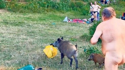 Hinterher. Eine Verfolgungsjagd nimmt ihren Lauf – zur Freude der Badegäste.