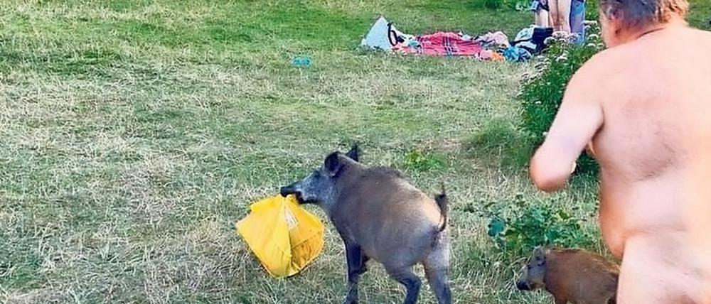 Hinterher. Eine Verfolgungsjagd nimmt ihren Lauf – zur Freude der Badegäste.