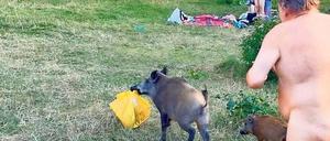 Hinterher. Eine Verfolgungsjagd nimmt ihren Lauf – zur Freude der Badegäste.