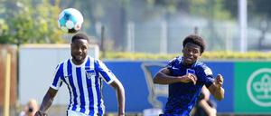 Man kennt sich. Deyovaisio Zeefuik (links) und Javairo Dilrosun haben schon in der U8 von Ajax Amsterdam zusammengespielt.