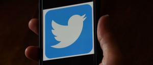Wird es zu einem Zusammenschluss von Twitter und TikTok kommen?
