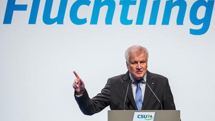 Bundesinnenminister Horst Seehofer