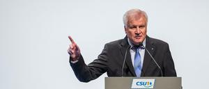 Bundesinnenminister Horst Seehofer