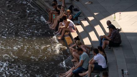 Klare Brühe. An den meisten Tagen des Jahres hat die Spree bereits Badewasserqualität.