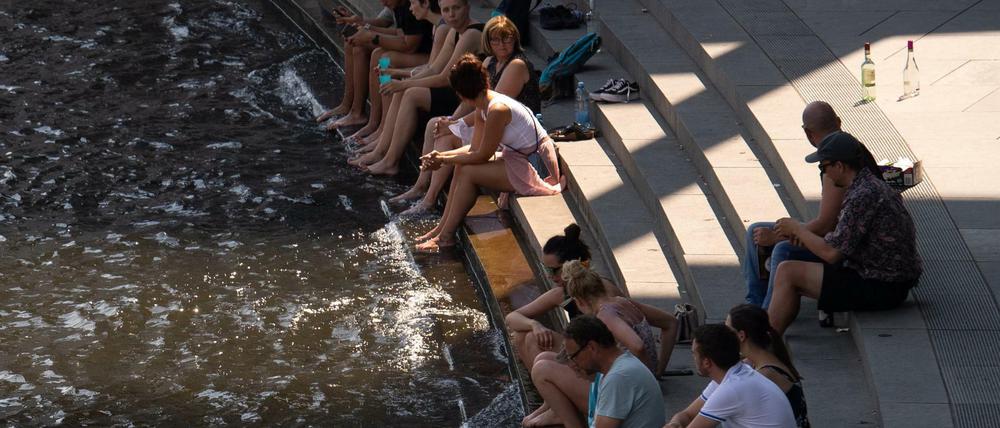 Klare Brühe. An den meisten Tagen des Jahres hat die Spree bereits Badewasserqualität.