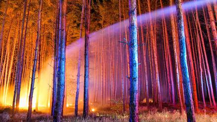 Am Stadtrand kämpfen die Berliner und Brandenburger Feuerwehr gegen die Flammen an.