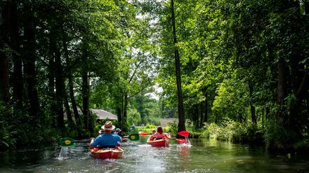 Paddler fahren über einen Seitenarm der Spree im Spreewald. Die Wassersituation der Spree ist wegen Hitze und Trockenheit ernst.