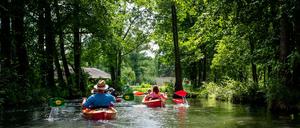Paddler fahren über einen Seitenarm der Spree im Spreewald. Die Wassersituation der Spree ist wegen Hitze und Trockenheit ernst.