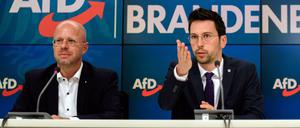 Andreas Kalbitz (l) und Dennis Hohloch (M) während einer Pressekonferenz.