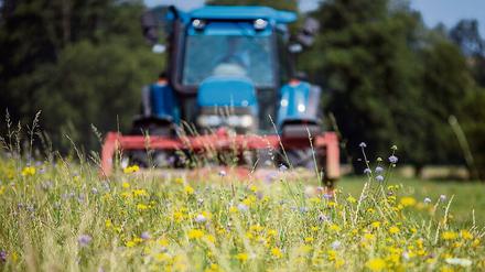 Die Landwirtschaft nimmt häufig zu wenig Rücksicht auf die Natur. 