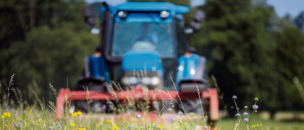 Die Landwirtschaft nimmt häufig zu wenig Rücksicht auf die Natur. 