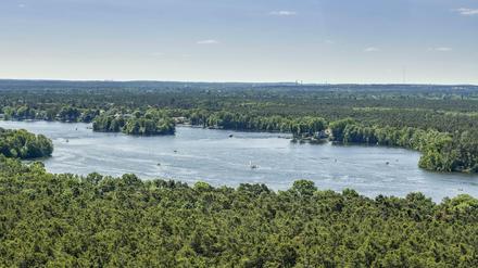 Der Lange See befindet sich im Südosten Berlins, im Bezirk Treptow-Köpenick.