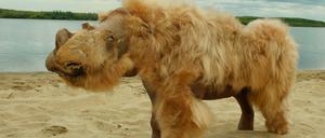 Wollnashörner mit braunem Fell erreichten ein Gewicht von zwei Tonnen. Vor etwa 14 000 Jahren starben die Großsäuger aus.