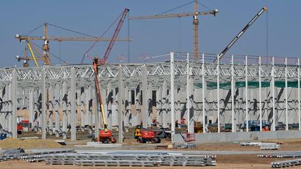 Kräne, Baumaschinen und erste Betonpfeiler für die künftige Tesla-Gigafactory sind auf dem Baugelände zu sehen.