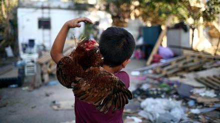 Ein Junge in Beirut trägt ein Huhn auf seiner Schulter.