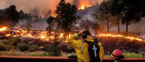 Ein Feuerwehrmann schaut auf das Feuer vor sich. 