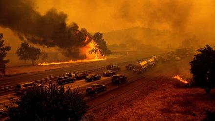 Brände neben einer Schnellstraße im US-Bundesstaat Kalifornien