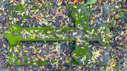 Et sub terra pax. Der Stuttgarter Hoppenlau-Friedhof im Herbst. 