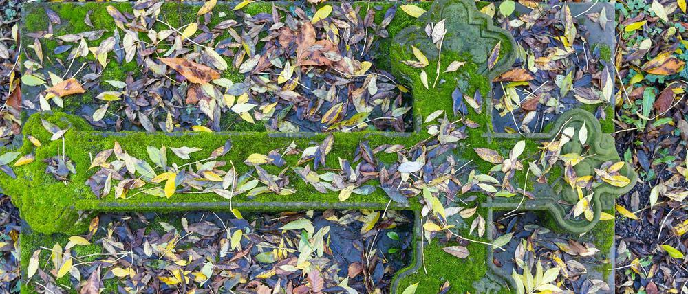 Et sub terra pax. Der Stuttgarter Hoppenlau-Friedhof im Herbst. 