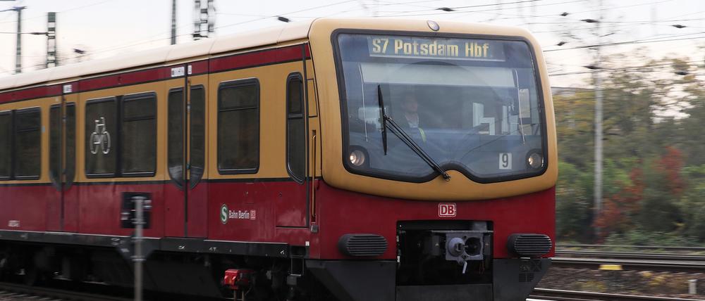 Auf der Linie 7 zwischen Berlin und Potsdam ist ein Baum aufs Gleis gefallen.