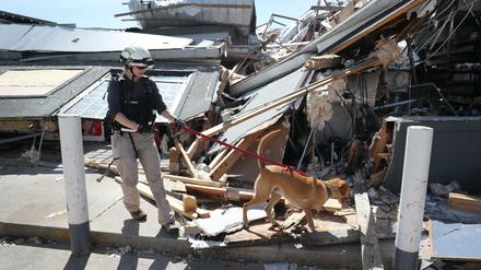 Kennie Gillander und ihr Hund Duke suchen in den Trümmern nach Verletzten. 