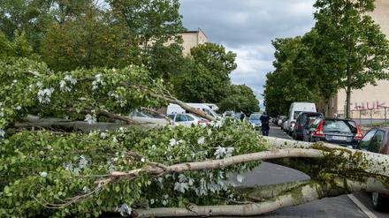 Für Berlin und Brandenburg gibt es am Mittwoch eine Unwetterwarnung. 