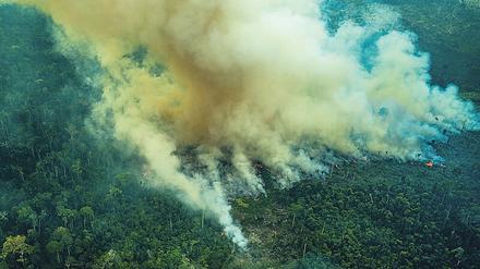Zweifel am Pakt: Die EU-Staaten sehen Brasiliens Regenwald-Politik kritisch. 