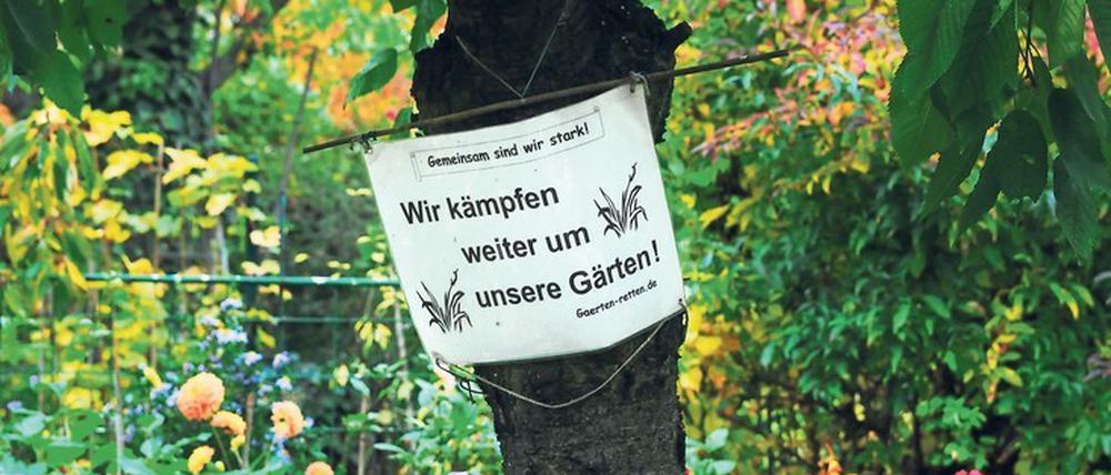 Grünphase. Für zehn Jahre sollen die Kleingärten laut Senatsbeschluss nicht angetastet werden. Der Entwicklungsplan ist ein Kompromiss, der weder die Laubenpieper noch die Bauwirtschaft wirklich glücklich stimmt.