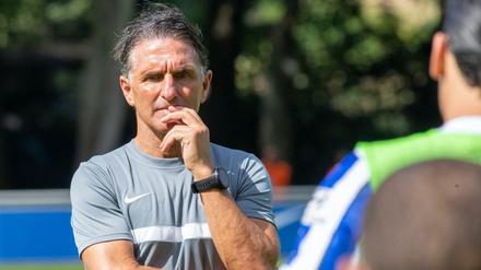 Herthas Trainer Bruno Labbadia sucht Führungsspieler.