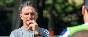 Herthas Trainer Bruno Labbadia sucht Führungsspieler.