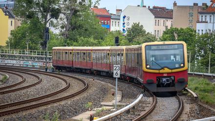Ein Baum droht auf die Gleise der Ringbahn zu kippen.