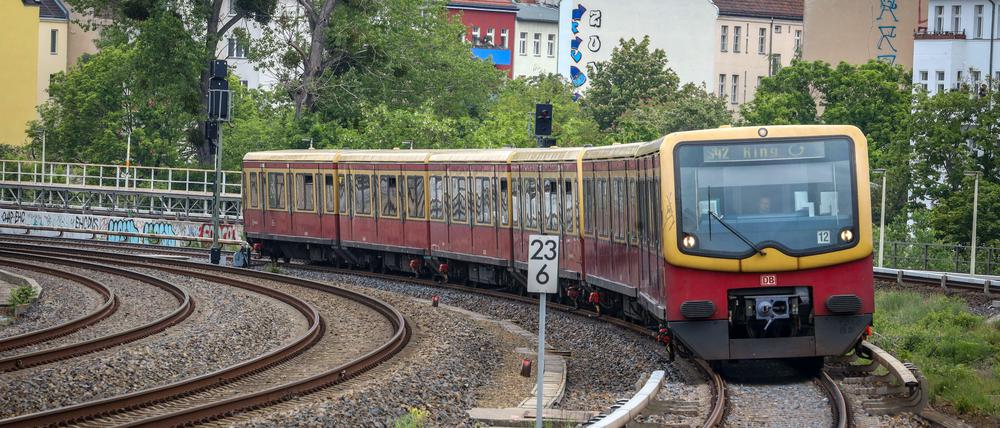 Ein Baum droht auf die Gleise der Ringbahn zu kippen.