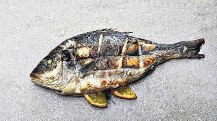 Uri Buris Rezepte sind simpel und benötigen nicht viele Zutaten. Im Kochbuch verrät er Tipps aus seiner langjährigen Küchenpraxis. Zum Beispiel Fisch im Gitter und Thunfisch nur ganz kurz grillen.