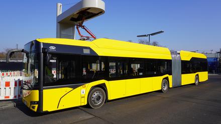 Ein Elektro-Gelenkbus unter der Ladesäule an der Hertzallee nahe dem Bahnhof Zoo