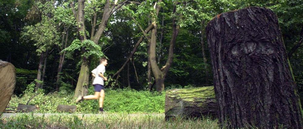Vor allem abseits der Wege könnte es für Parkbesucher gefährlich werden.