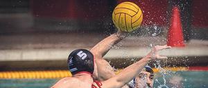Harter Kampf. Spandaus Ivan Zovic (l.) gegen Darko Brguljan.