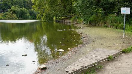 Trockengelegter Steg am Lietzensee in Berlin-Charlottenburg.