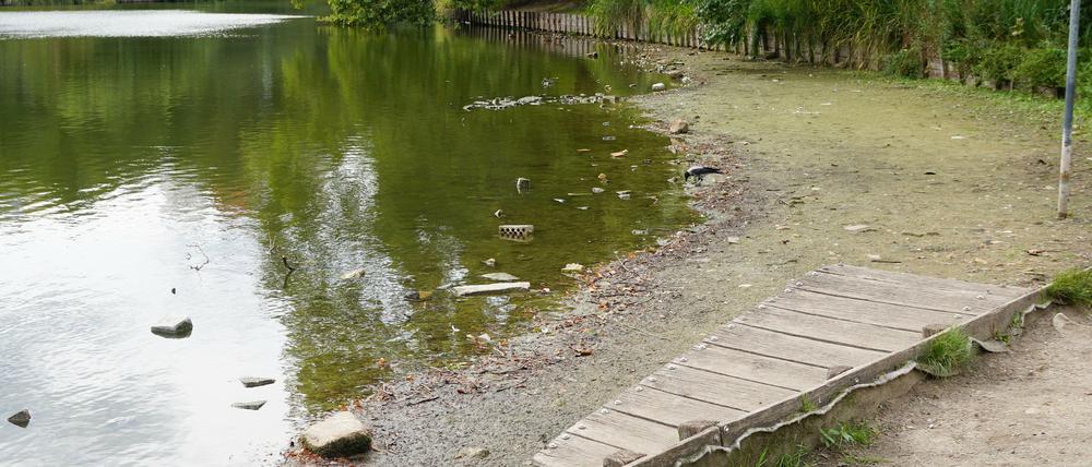 Trockengelegter Steg am Lietzensee in Berlin-Charlottenburg.