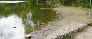 Trockengelegter Steg am Lietzensee in Berlin-Charlottenburg.