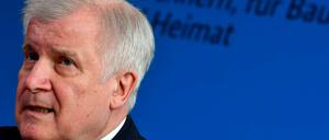 Die Behörde von Innenminister Horst Seehofer (CSU) revidierte die Entscheidung, nur Spätaussiedler, nicht aber Juden aus Russland einreisen zu lassen. 