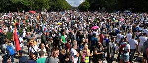 Den Corona-Demonstranten wird vorgeworfen, das Geschäft der Rechtsextremisten betrieben zu haben. Das sei übertrieben, findet unsere Autorin. 
