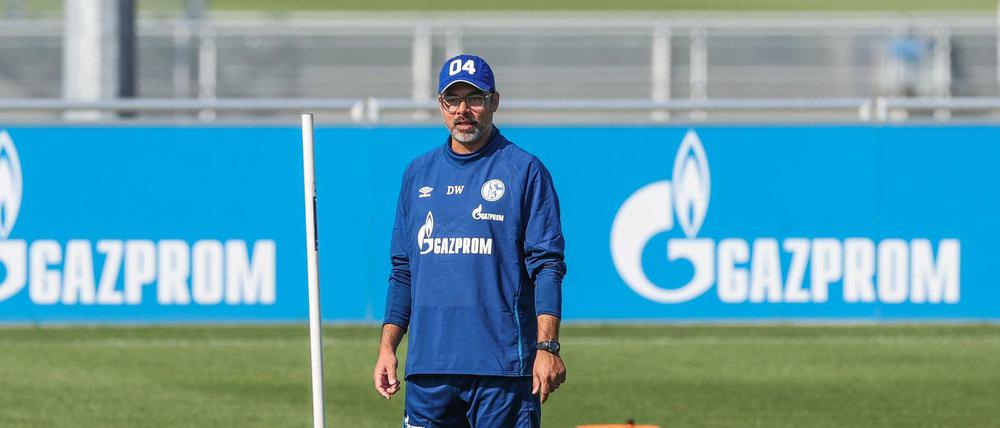 Ist derzeit ziemlich alleingelassen: Schalkes Trainer David Wagner.
