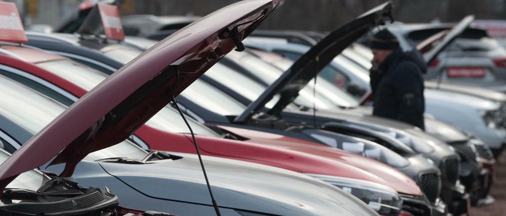 Verschiedene Autos stehen zum Verkauf bereit. 