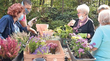 Engagierte pflanzen Blumen bei der AWO in Kreuzberg.