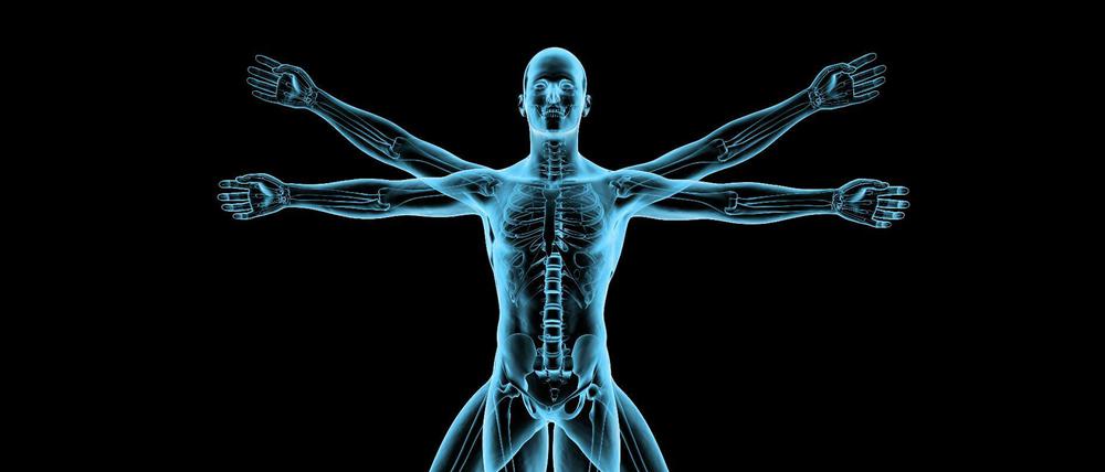 Die Renaissance mit ihrem humanistischen Menschenbild wurde zur eigentlichen Revolution für die moderne Wissenschaft.