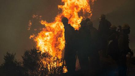 Feuerwehrleute überwachen einen kontrollierten Brand.