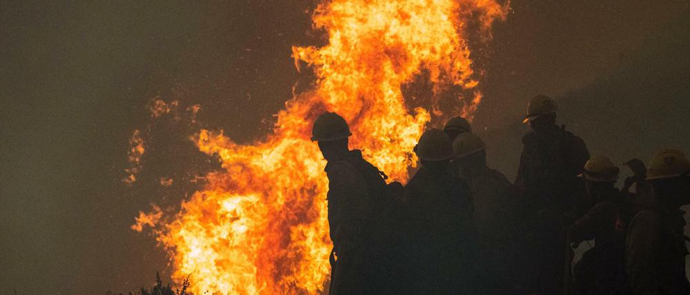 Feuerwehrleute überwachen einen kontrollierten Brand.