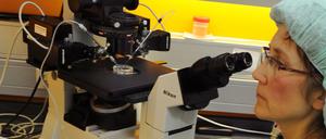 Viele Frauen lassen sich künstlich befruchten. 